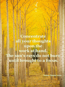 power of concentration quote