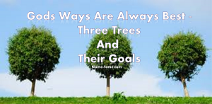 three trees and their goals
