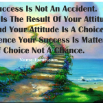 Success Is A Choice Not An Accident