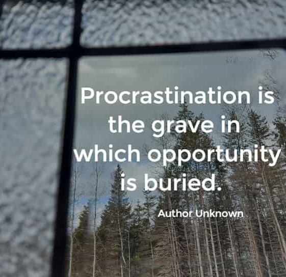 Effect of Procrastination on Productivity